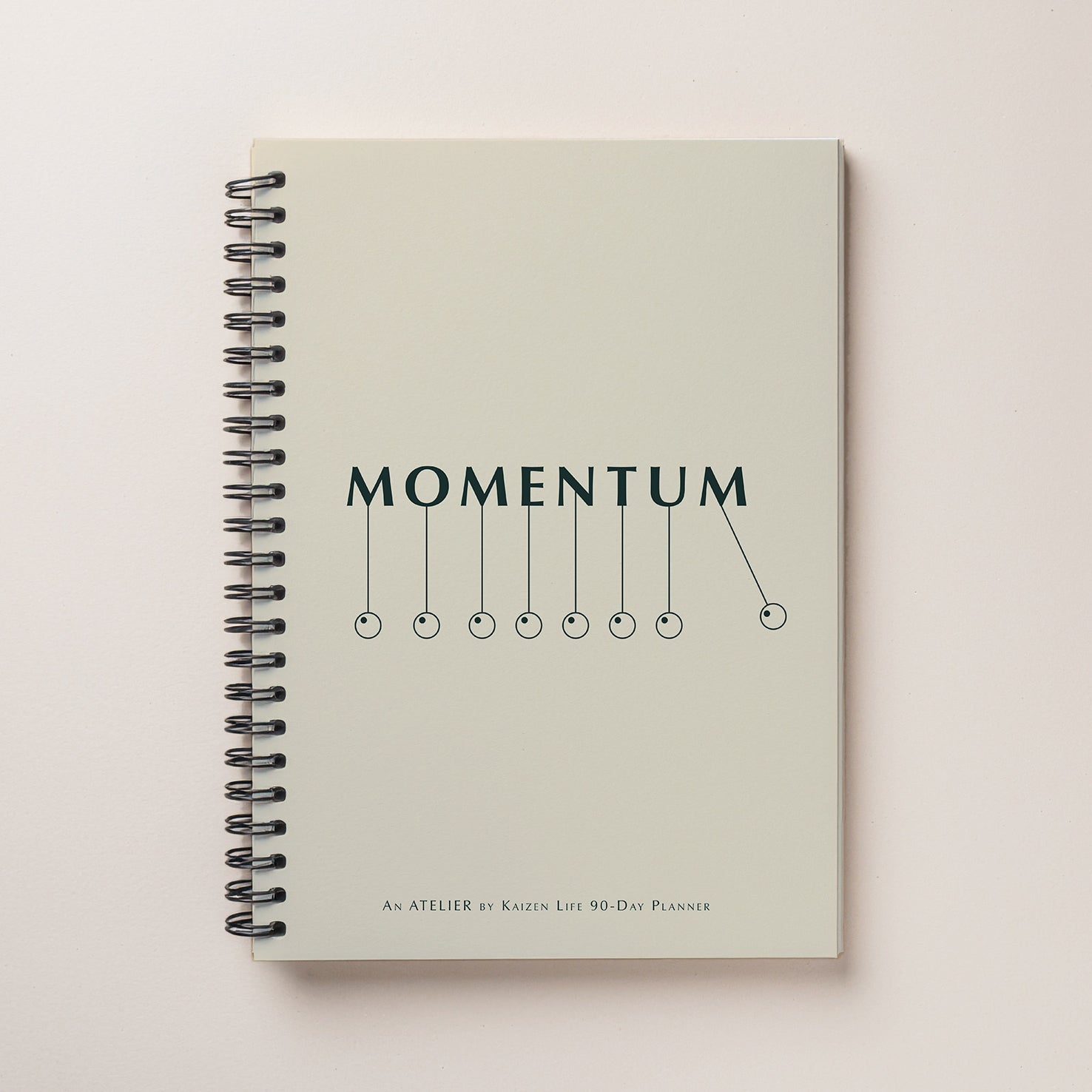 MOMENTUM - 90-Day Planner