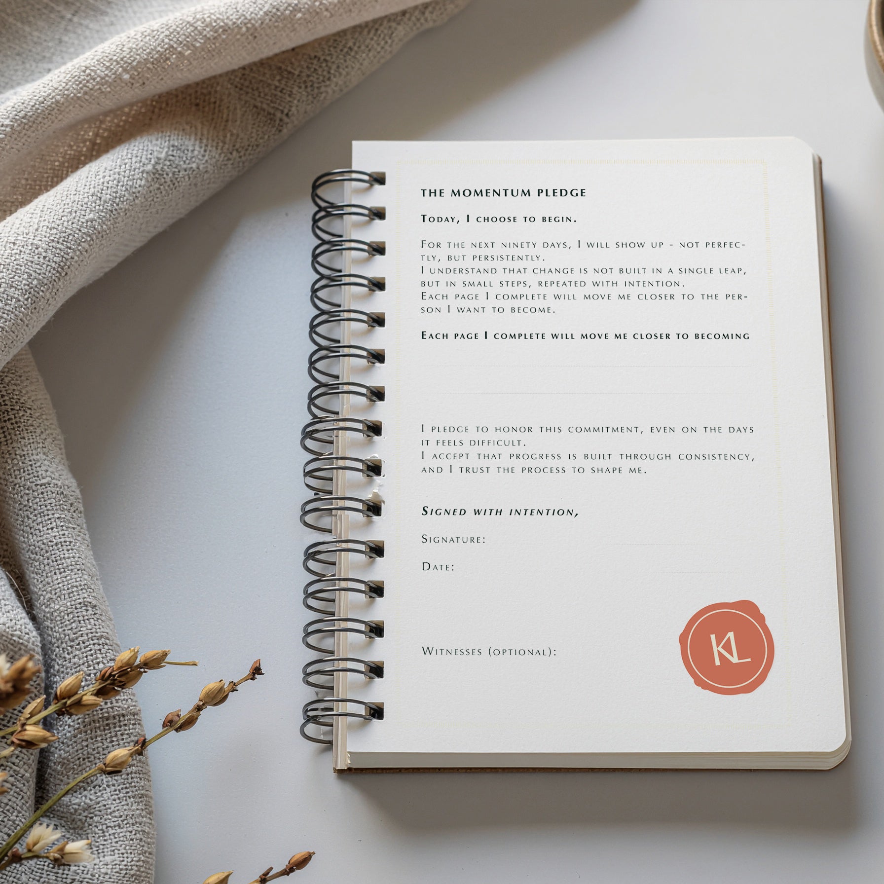 MOMENTUM - 90-Day Planner