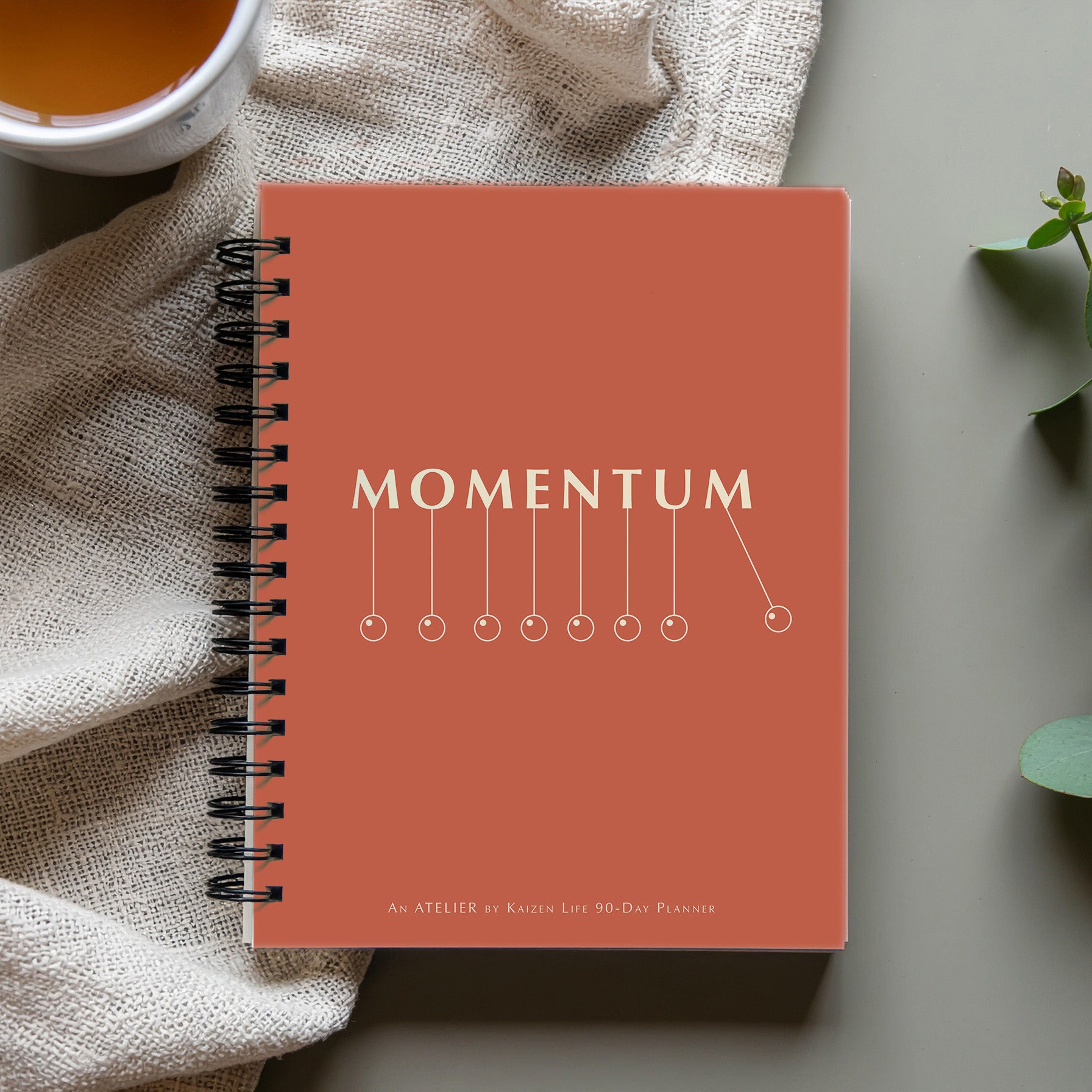 MOMENTUM - 90-Day Planner
